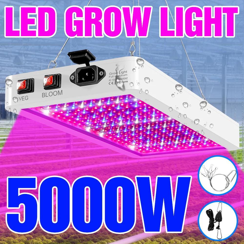 LED Ĺ , ǳ  , Ǯ Ʈ ½,  , Ʈ , 220V, 110V